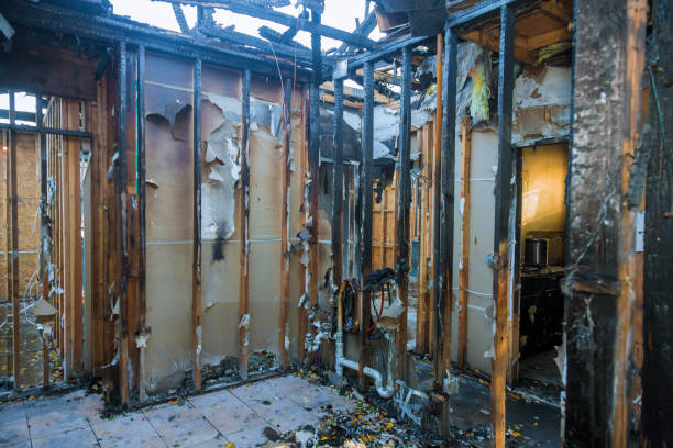 Professional Odor Removal technician working in Moore, OK